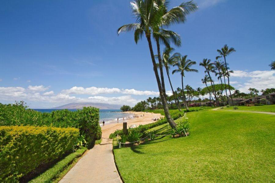 Wailea Elua, #2304 Condo Dış mekan fotoğraf