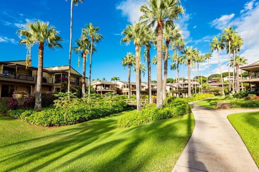 Wailea Elua, #2304 Condo Dış mekan fotoğraf